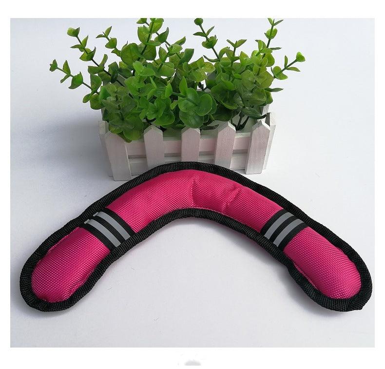 Boomerang Fetch Dog Toy
