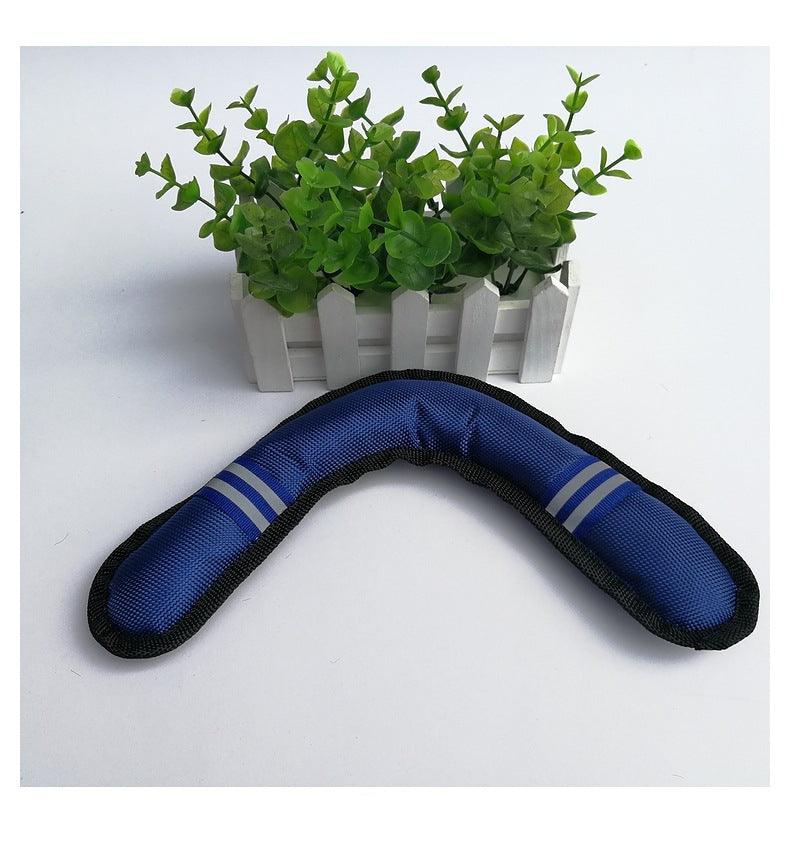 Boomerang Fetch Dog Toy